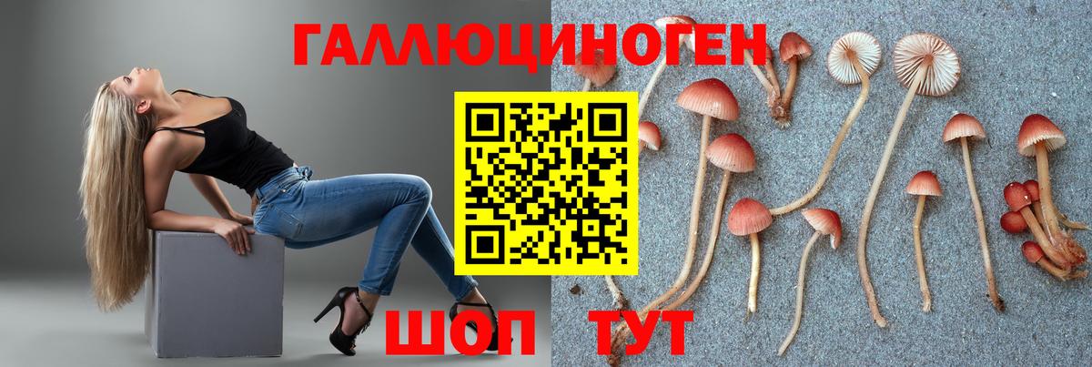 Псилоцибиновые грибы Psilocybine cubensis Отрадное