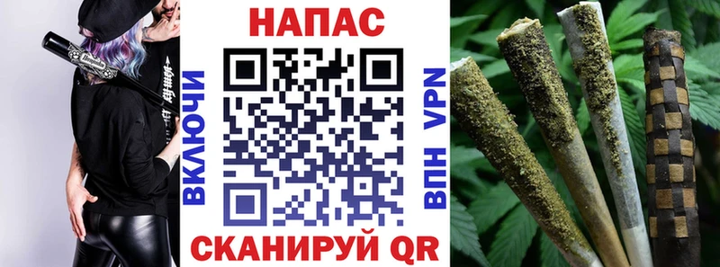 Шишки марихуана план  Отрадное 